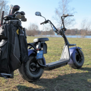 Golf edition