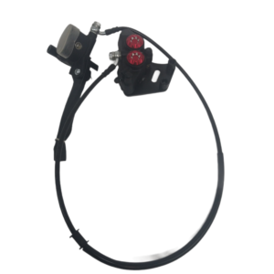 Cafecruiser/GTS Achter Remsysteem