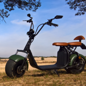 Ecruiser X1 CUSTOM EDITION