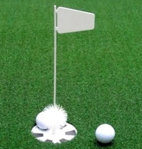 Putting Cup and Flag